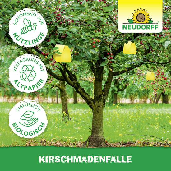 KirschmadenFalle Sprechende Bilder Bild 5