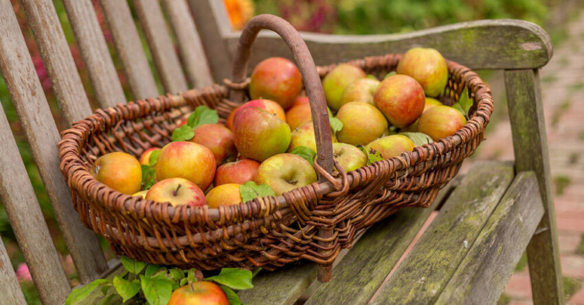 Naturgemäßer Pflanzenschutz