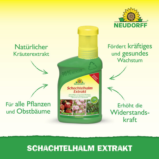 Schachtelhalm Extrakt Sprechende Bilder Bild 2