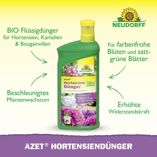 Azet HortensienDünger flüssig Sprechende Bilder Bild 2 Azet HortensienDünger flüssig Sprechende Bilder Bild 2