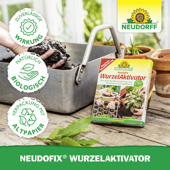 Neudofix WurzelAktivator Sprechende Bilder Bild 5 Neudofix WurzelAktivator Sprechende Bilder Bild 5