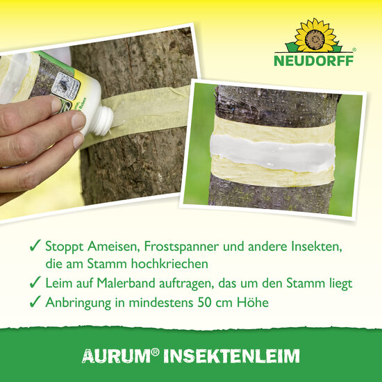 Aurum InsektenLeim Sprechende Bilder Bild 4