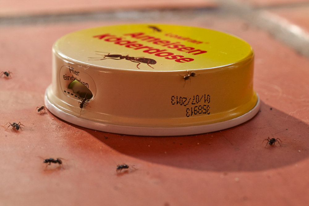 Loxiran AmeisenKöderdose Loxiran AmeisenKöderdose