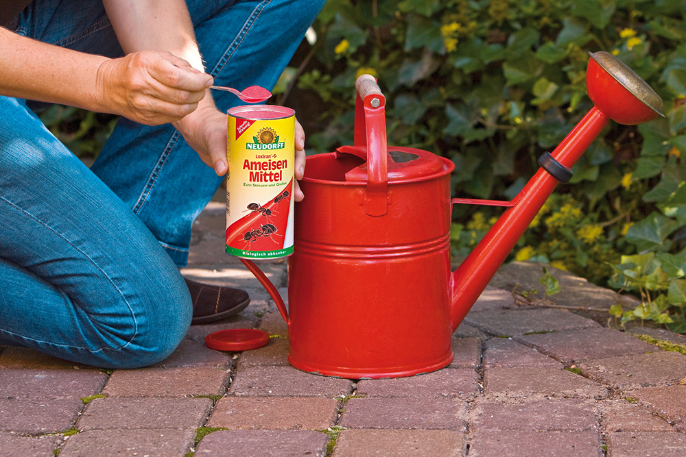 Loxiran AmeisenStreumittel Loxiran AmeisenStreumittel