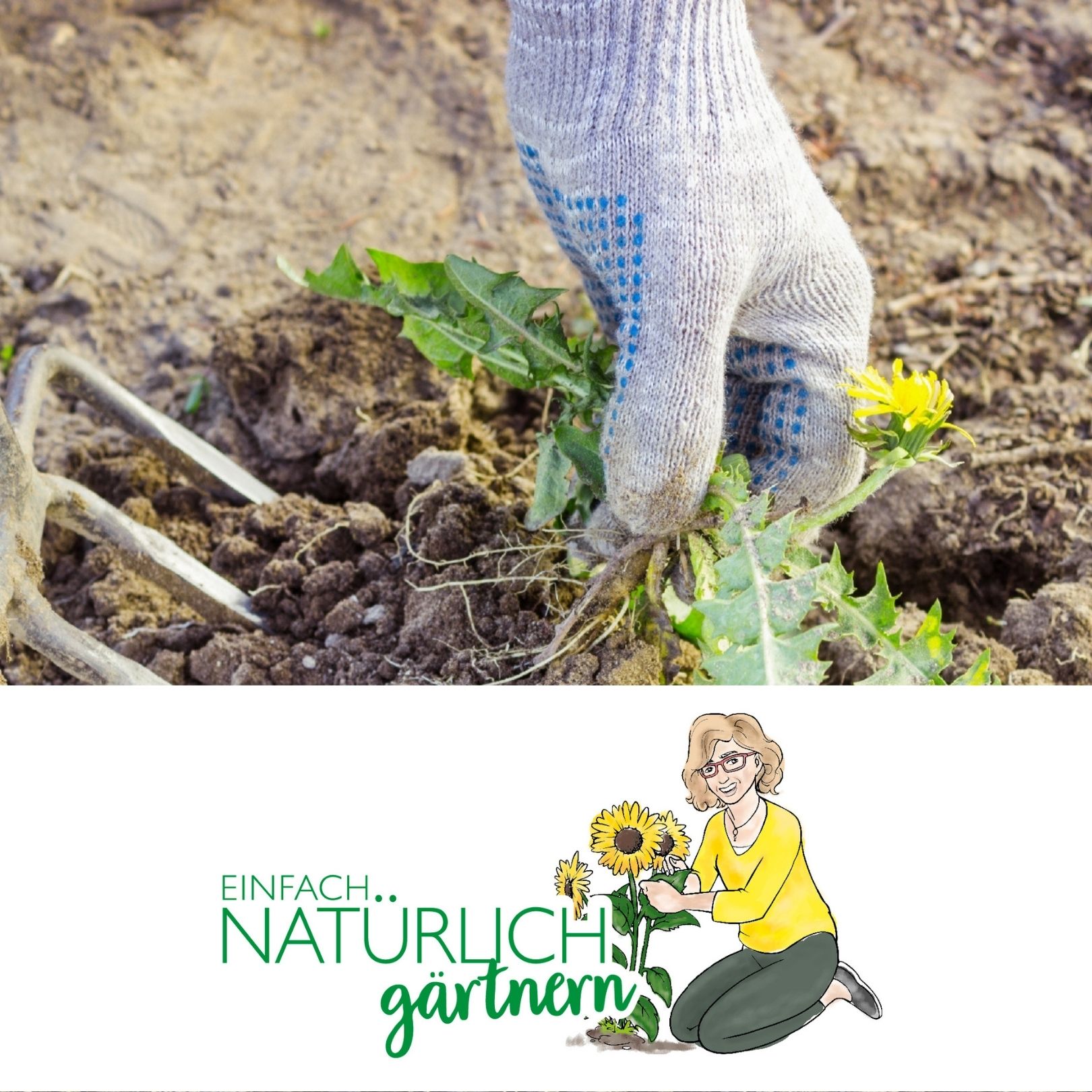 Unkraut im Garten - und jetzt? Unkraut im Garten - und jetzt?