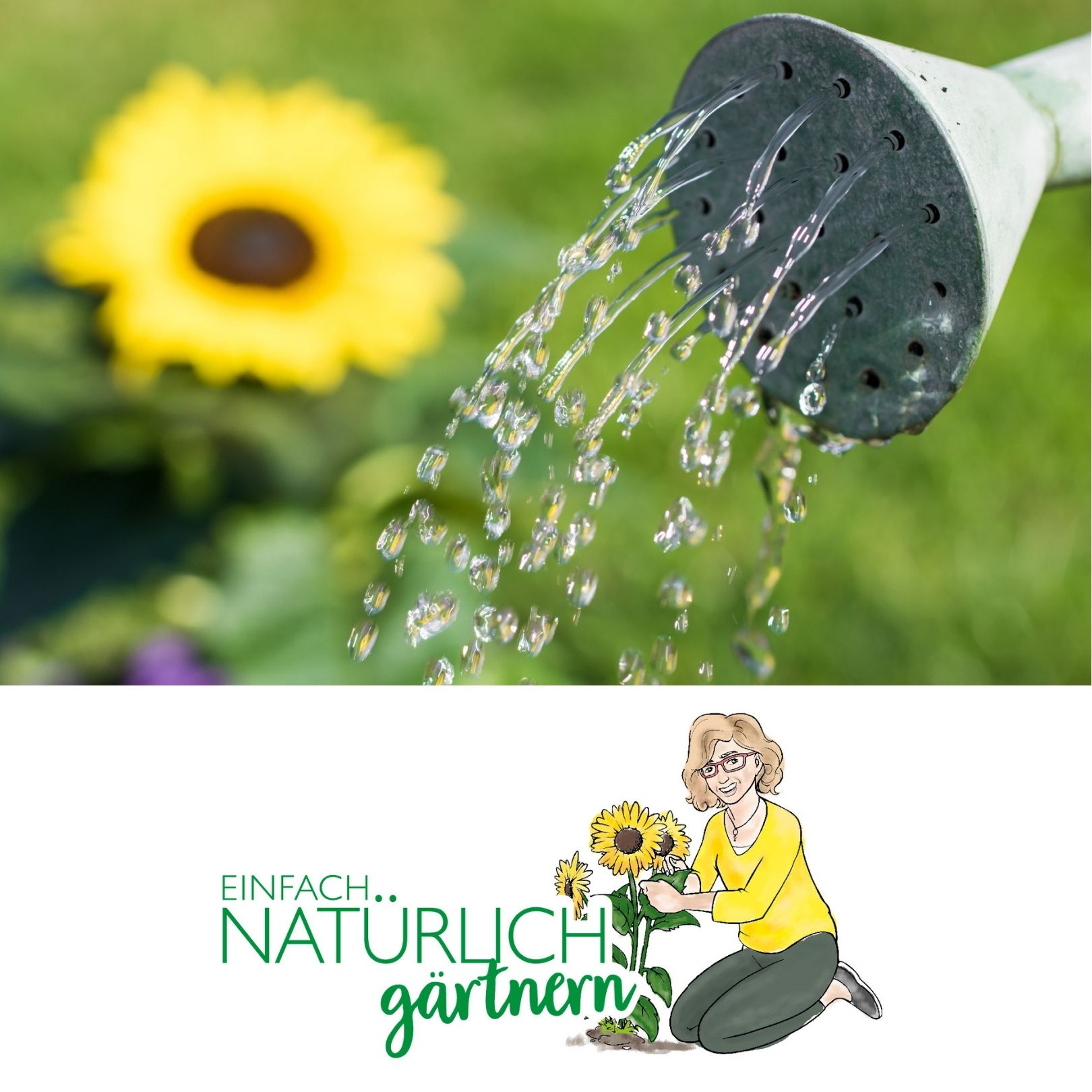 Strategien gegen Trockenheit Strategien gegen Trockenheit