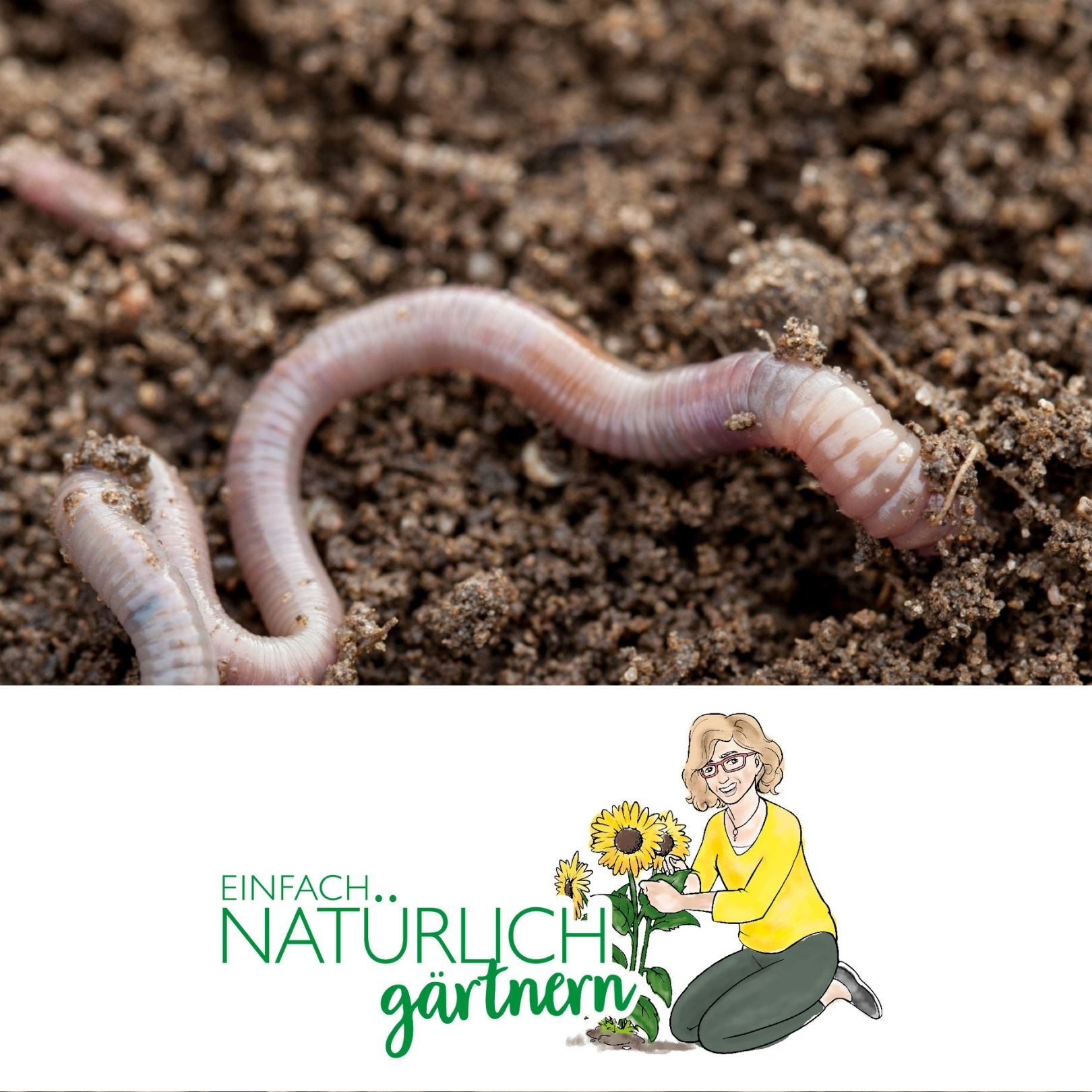 Es lebe der Regenwurm Es lebe der Regenwurm