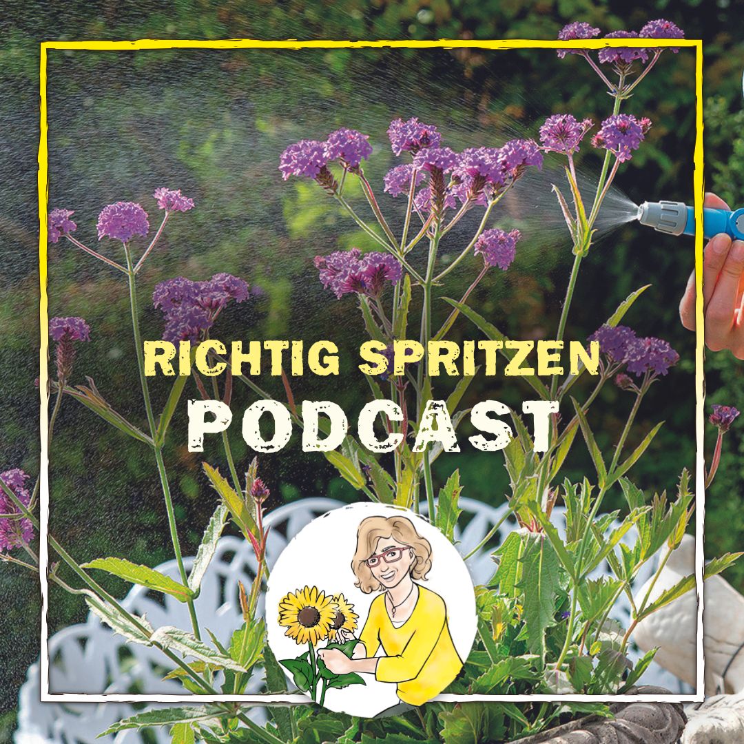 Podcast Folge 50 Podcast Folge 50