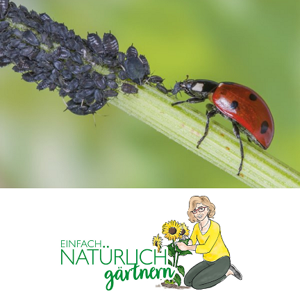 Podcast Folge Blattläuse, was nun? Podcast Folge Blattläuse, was nun?