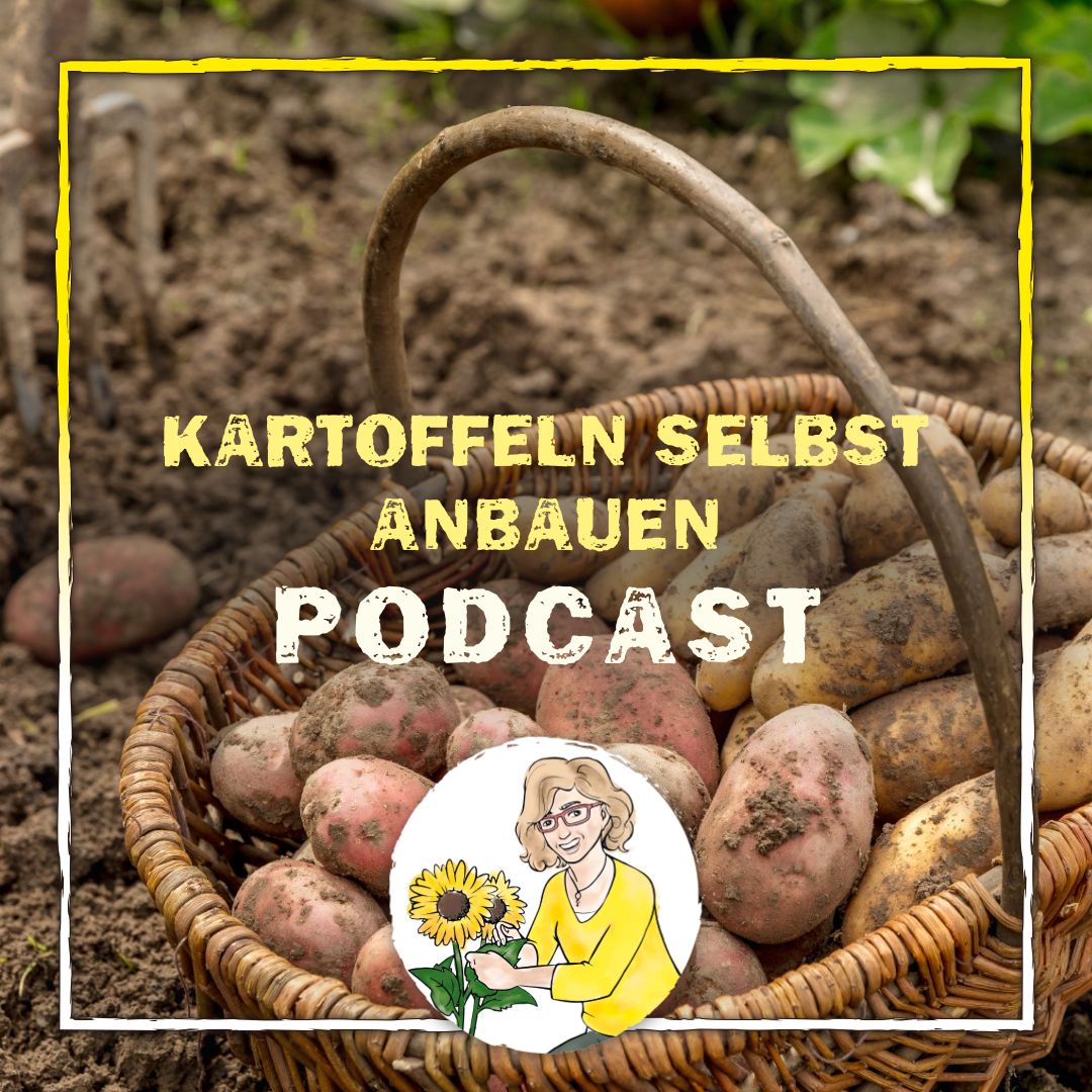 Podcast Folge 48 Podcast Folge 48