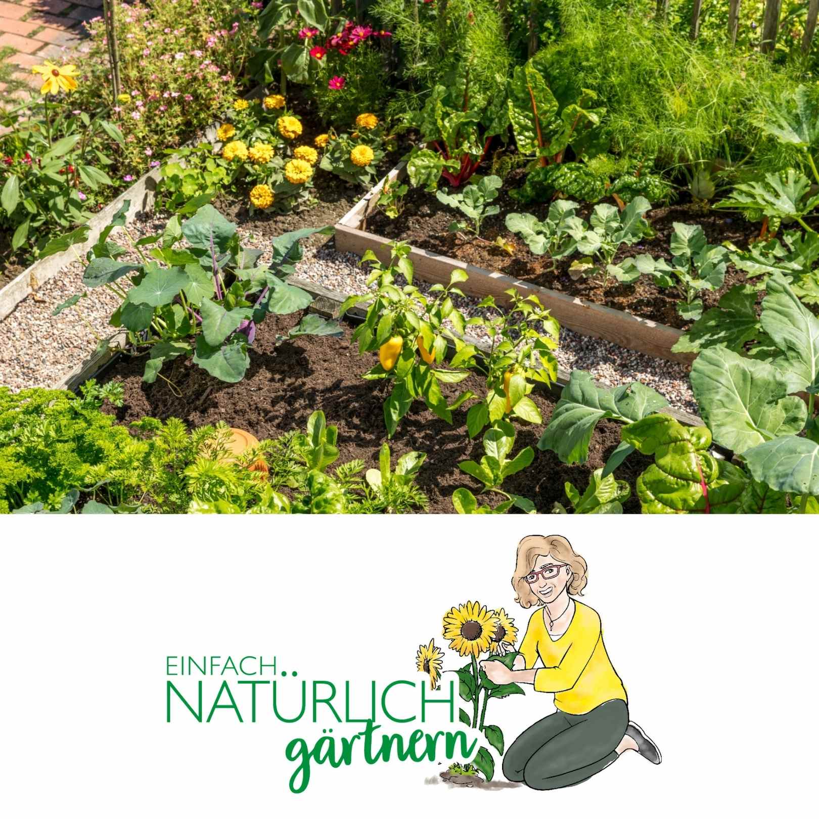 Podcast Folge Mischkultur und Fruchtfolge Podcast Folge Mischkultur und Fruchtfolge