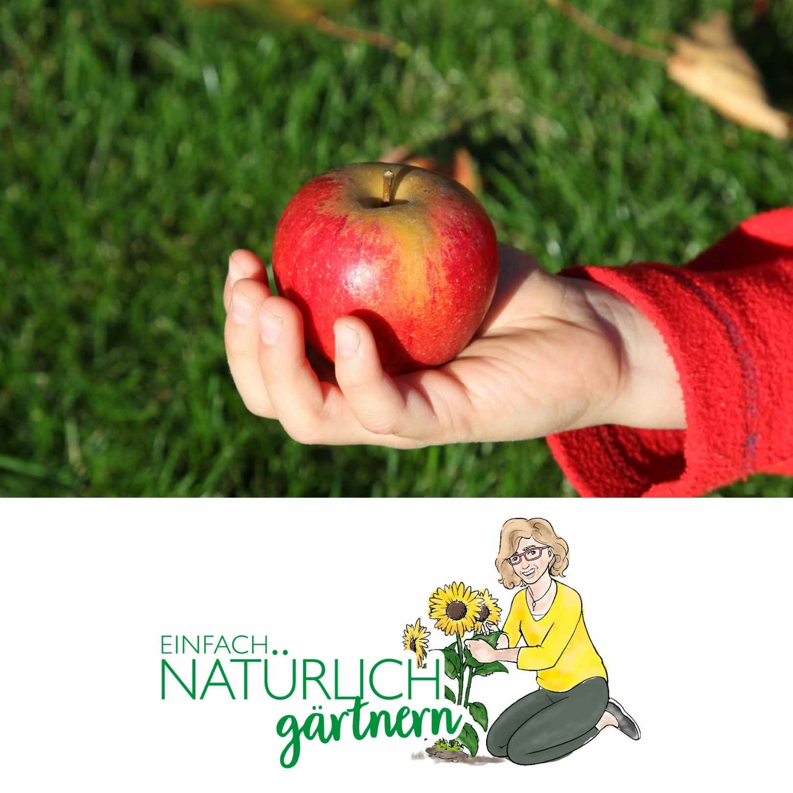 Podcast Folge Obstbaum pflanzen Podcast Folge Obstbaum pflanzen