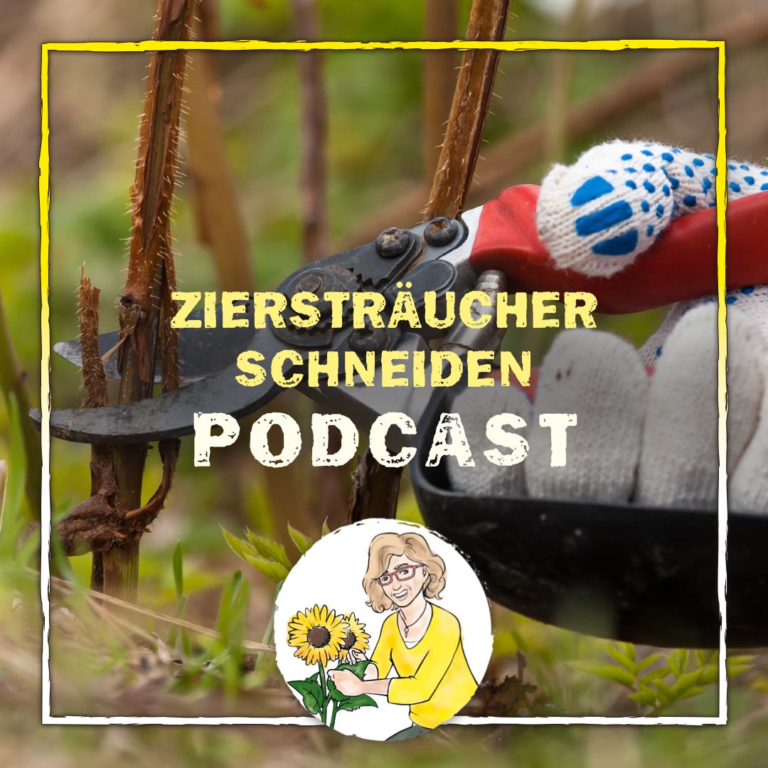 Ziersträucher schneiden Ziersträucher schneiden