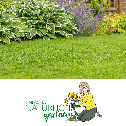 Podcast Folge Rasenprobleme Podcast Folge Rasenprobleme