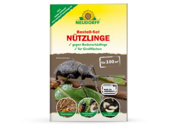 Bestell-Set Nützlinge für Großflächen Bestell-Set Nützlinge für Großflächen