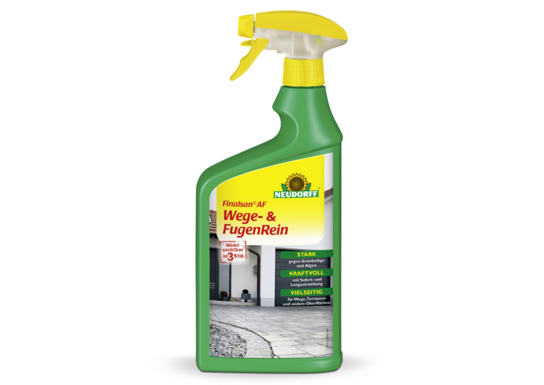 Finalsan AF Wege- & FugenRein