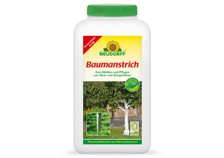Baumanstrich