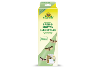 Permanent SpeisemottenKlebefalle